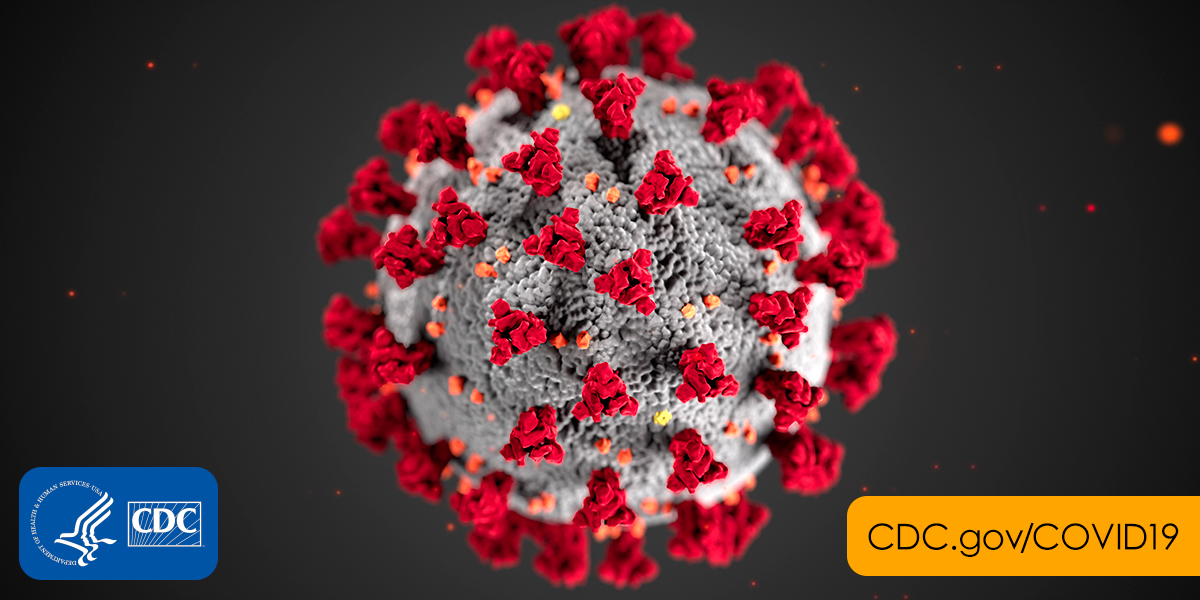 2019  coronavirus 